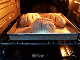 牛奶核桃欧包的做法步骤：16