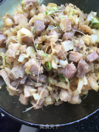 白菜粉丝肉丁包的做法步骤：16