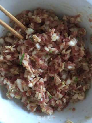 大白菜猪肉饺子的做法步骤：3