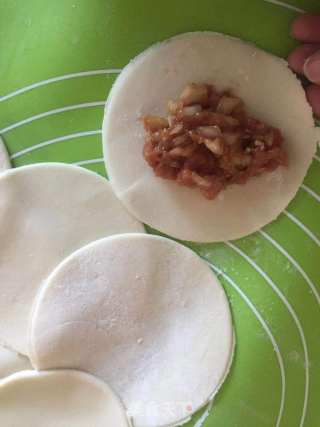 大白菜猪肉饺子的做法步骤：4