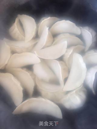 大白菜猪肉饺子的做法步骤：7