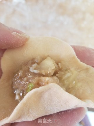 洋葱猪肉蒸饺的做法步骤：7