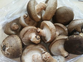 韭菜香菇鸡蛋饺的做法步骤：2