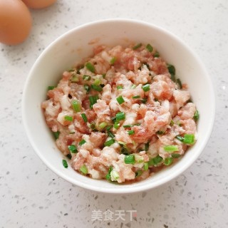 蛋饺（电饼铛版）的做法步骤：5
