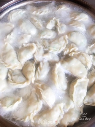 韭菜油条馅水饺的做法步骤：10