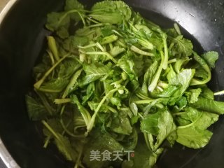 蒜香菜籽苗的做法步骤：3