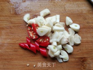 蒜香菜籽苗的做法步骤：4