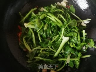 蒜香菜籽苗的做法步骤：6