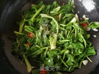 蒜香菜籽苗的做法步骤：7