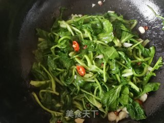 蒜香菜籽苗的做法步骤：8