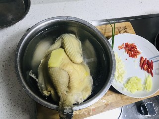 白切鸡（辣）的做法步骤：4