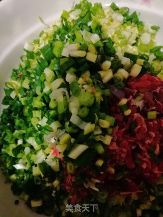 白菜牛肉饺子的做法步骤：4