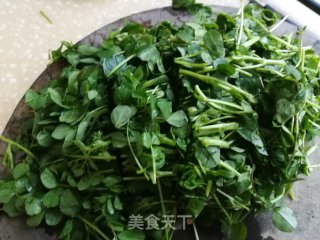 蒜蓉花草的做法步骤：3