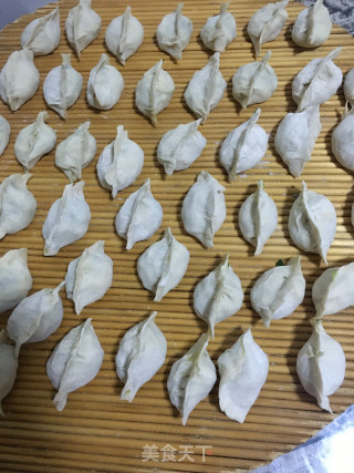 韭菜鹅蛋饺的做法步骤：20