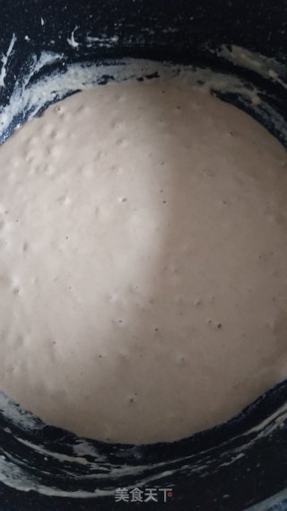 老面馒头的做法步骤：3