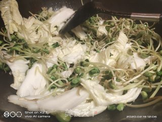 黑豆芽炒大白菜的做法步骤：2