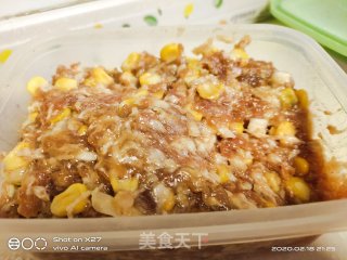 玉米肉末饺子的做法步骤：2