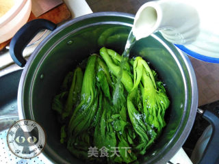 自制酸菜的做法步骤：4