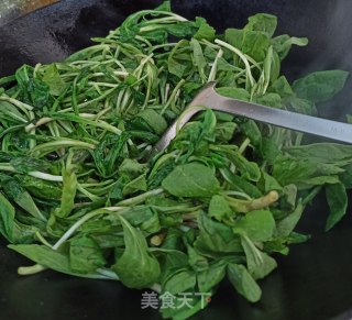 清炒马兰头的做法步骤：4