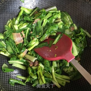 腊肉炒菜苔的做法步骤：4