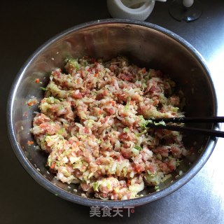 猪肉白菜饺子的做法步骤：3