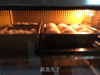 蛋奶酥粒面包的做法步骤：9