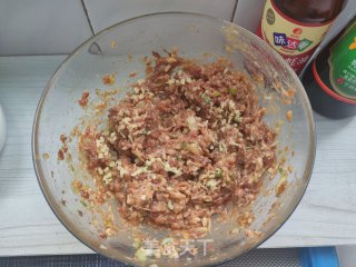 萝卜丝猪肉蒸饺的做法步骤：4