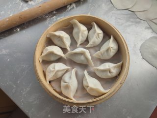 萝卜丝猪肉蒸饺的做法步骤：9