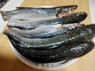 红烧梭鱼的做法步骤：2