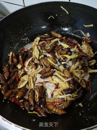 香酥大蝉蛹的做法步骤：12
