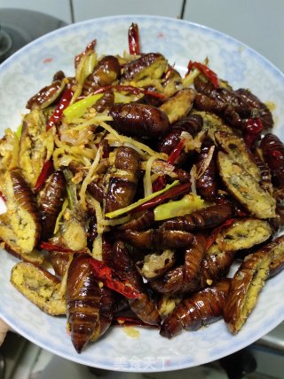 香酥大蝉蛹的做法步骤：13