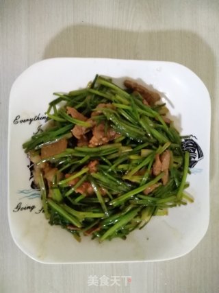香菜炒肉的做法步骤：6