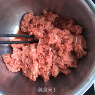 孜然胡萝卜牛肉包的做法步骤：4