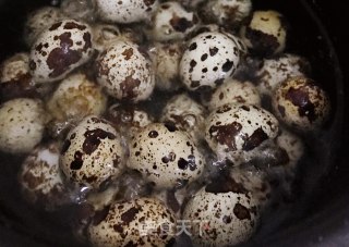 大料炖鸭的做法步骤：3