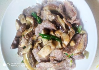 牛肉炒鲜香菇的做法步骤：7