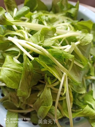鸡毛菜麻油汤面的做法步骤：1