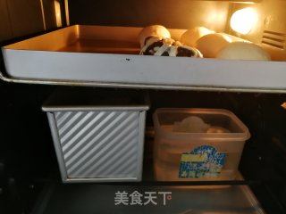 波兰种豆沙吐司的做法步骤：13