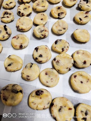蔓越莓玛格丽特小饼干的做法步骤：6