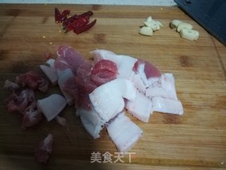 猪肉炖粉条的做法步骤：2