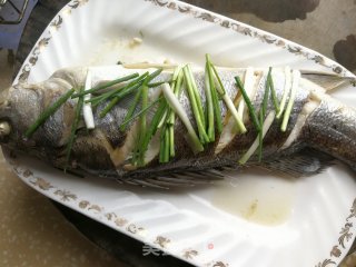 椒香清蒸鲈鱼的做法步骤：6