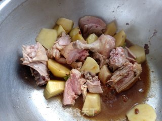 土豆炖鸭的做法步骤：10