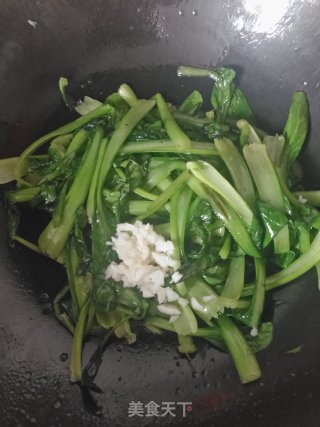 清炒油菜的做法步骤：5