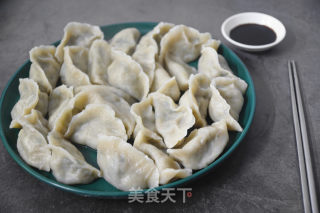 韭菜鲜肉水饺的做法步骤：17