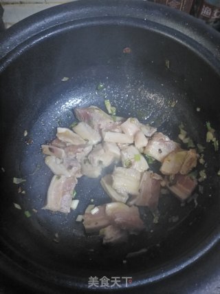猪肉炖粉条的做法步骤：5