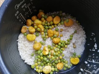 鸡腿焖饭的做法步骤：8