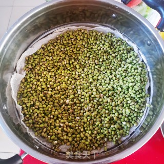 生绿豆芽的做法步骤：3