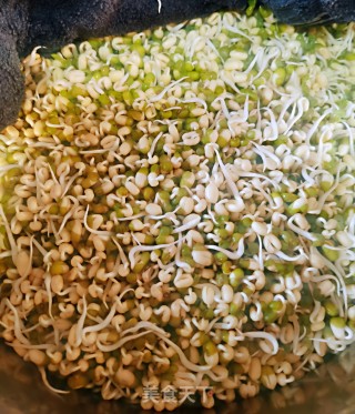 生绿豆芽的做法步骤：6