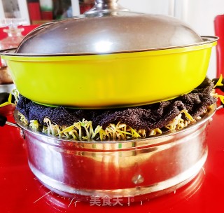 生绿豆芽的做法步骤：10