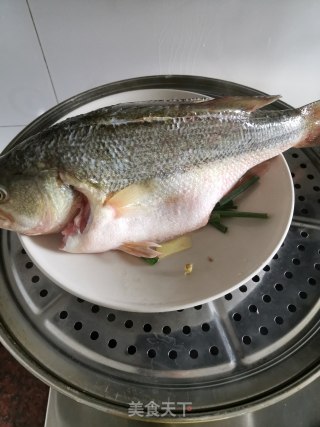 清蒸鲈鱼的做法步骤：3