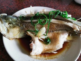 清蒸鲈鱼的做法步骤：6